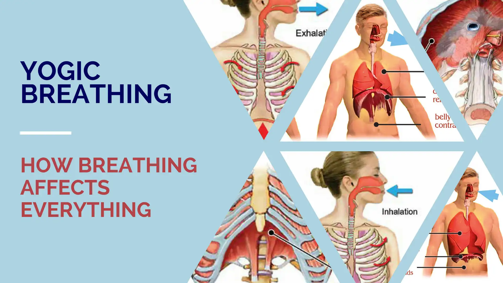 yogic_breathing_1